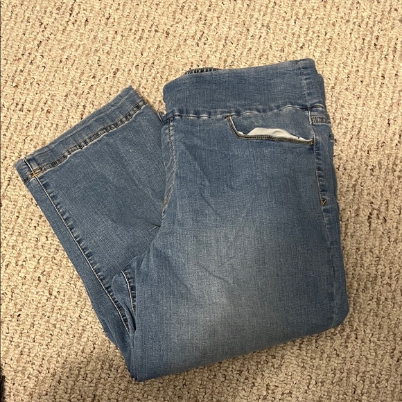Gloria Vanderbilt All Around Slimming Effect Blue Jeans size 16P - Picture 1 of 1